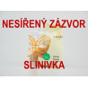 Zázvor sušený, kousky, nesířený, bez cukru 100g / imunita, trávení, slinivka, jezte v nemoci