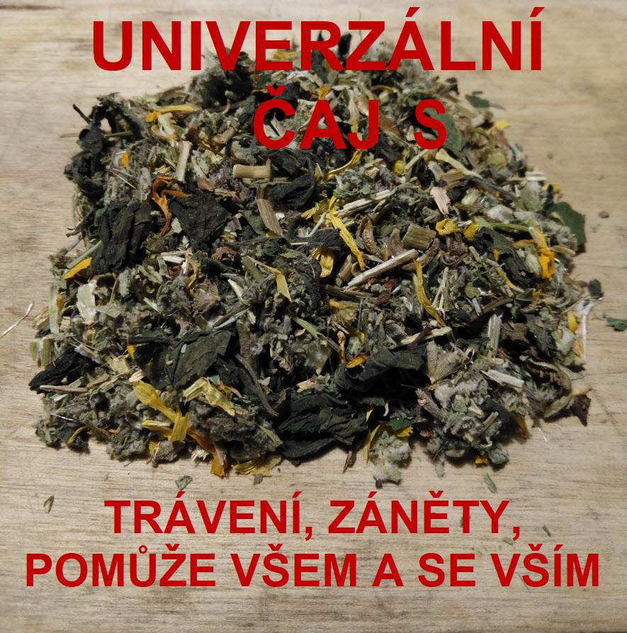 UNIVERZÁLNÍ ČAJ NA TRÁVENÍ A DETOX